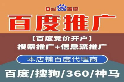 谷歌SEM广告策略：某电商平台的成功逆袭案例